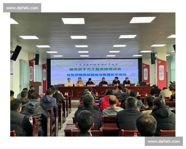 教练视角下高效训练与团队管理实战指南